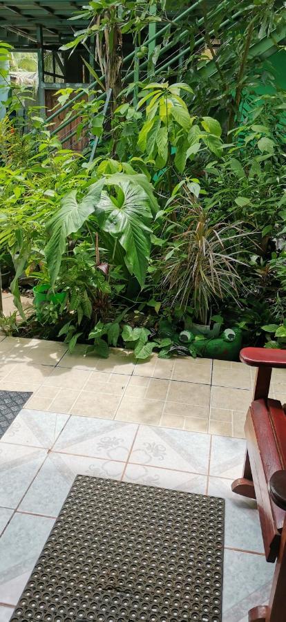 Cabinas Mitchaelle'S Puerto Viejo de Talamanca Екстериор снимка